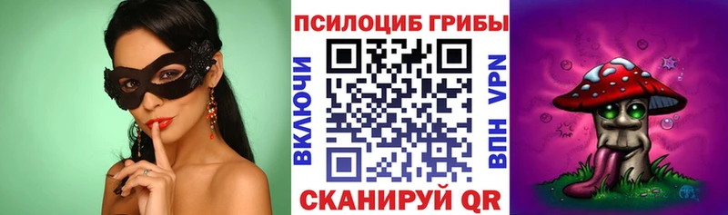 Купить закладки  Каменка  Галлюциногенные грибы Cubensis 